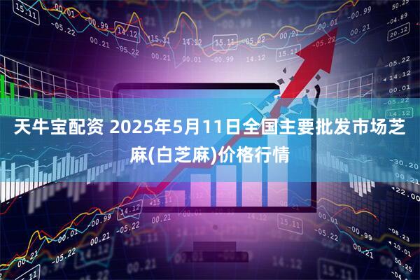 天牛宝配资 2025年5月11日全国主要批发市场芝麻(白芝麻)价格行情