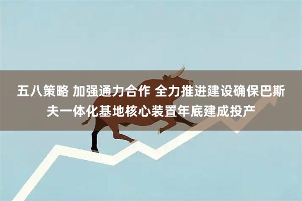 五八策略 加强通力合作 全力推进建设确保巴斯夫一体化基地核心装置年底建成投产