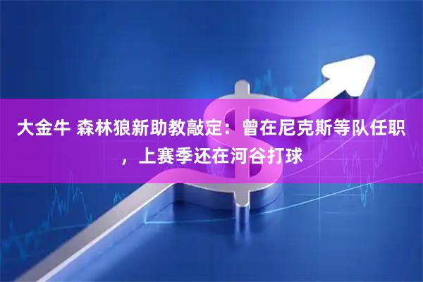 大金牛 森林狼新助教敲定：曾在尼克斯等队任职，上赛季还在河谷打球